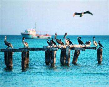 Wayak Holbox Otel Dış mekan fotoğraf